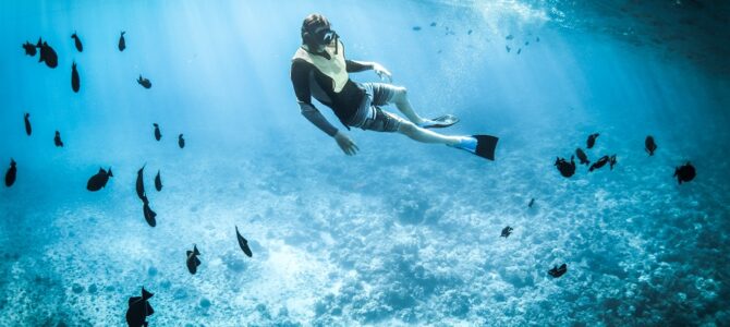 Diving into the Deep: Exploring the Tropical Underwater World