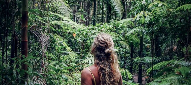 Rainforest Retreats: Connecting with Nature in Tropical Jungles