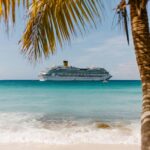 Luxury cruise ship sailing in turquoise tropical waters near a white sand beach framed by palm trees under a clear blue sky.